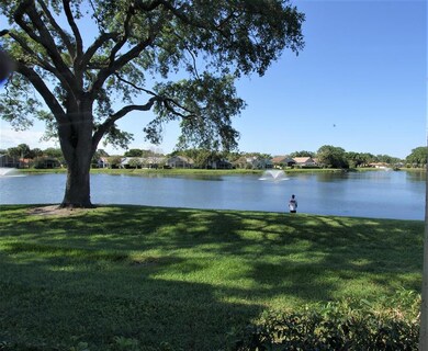 Views of Lake