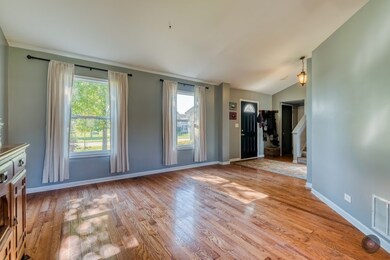 24312 Pear Tree Way, Plainfield, IL 60585 - photo 2