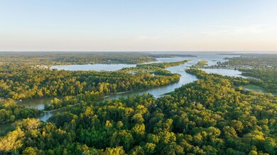 2258 Fm 3459, Onalaska, TX 77360 - photo 4