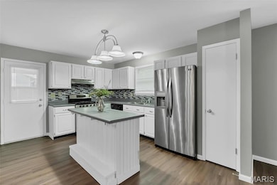 3 Sunny Hill Blvd, Saint Peters, MO 63376 - photo 3