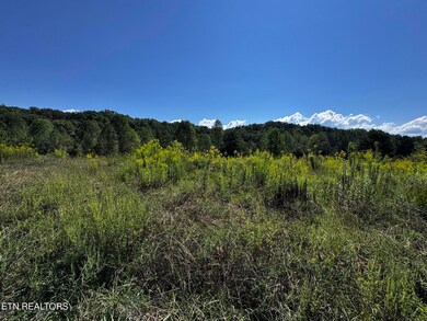 351 White Plains Rd, Vonore, TN 37885 - photo 7