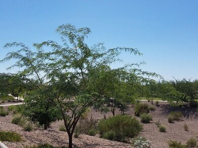 CUL-DE-SAC VIEW PARK