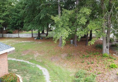 10 back yard