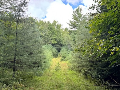 1.5 Farr Rd unit 5, Ohio, NY 13324 - photo 7