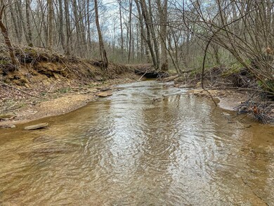 IMG_3040