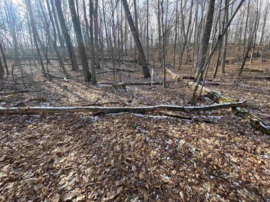 820 Cold Spring Rd, Red Hook, NY 12571 - photo 7