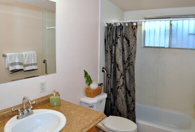 Hall bathroom