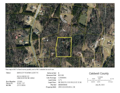 2899 Golden Bell Ln, Hudson, NC 28638 - photo 3