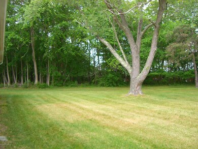616-B Willow side yard