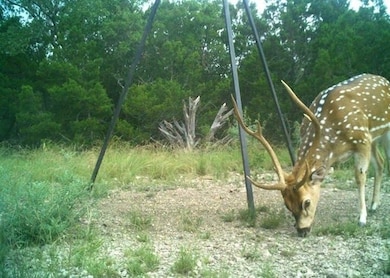 unlisted-address, Rocksprings, TX 78880 - photo 6