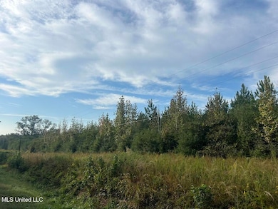 TBD River Rd N, Summit, MS 39666 - photo 7