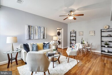 2824 12th St NE unit 205, Washington, DC 20017 - photo 3