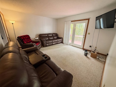 746 Days Dr unit 4, Sutton, WV 26601 - photo 5