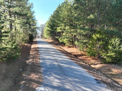 0 Allen Rd unit 140407, Lacrosse, VA 23950 - photo 4