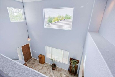 Lots of Natural Light