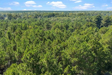 6.4 acres, TBD Narcissus Rd, Ore City, TX 75683 - photo 7