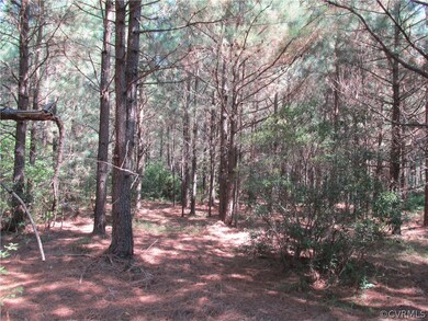 38 Beagle Chase, Prince George, VA 23842 - photo 6