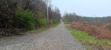 0 Keystone Furnace Rd unit (Keystone Escape), Jackson, OH 45640 - photo 5