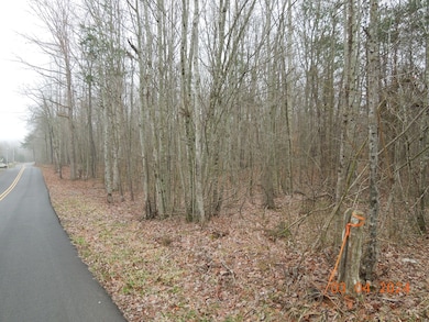 966 Cox Rd, Sequatchie, TN 37374 - photo 3