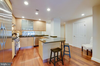 The Ritz-Carlton Residences, Baltimore, MD 21230 - photo 6