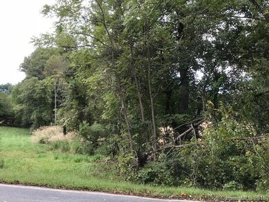 0000 Watson Rd, Arden, NC 28704 - photo 4