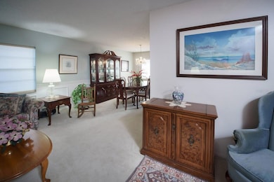 16717 Norwood Dr, Tampa, FL 33624 - photo 4