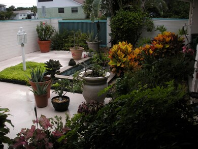 4517 Court Yard