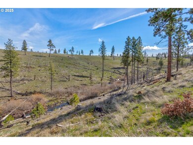 1 2 Box Canyon Rd, Goldendale, WA 98620 - photo 2