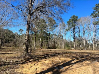 6205 Ball Loop, Ball, LA 71405 - photo 5