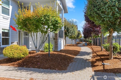 Walk way in front of house