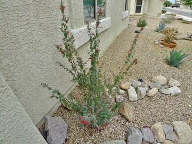 Mature Landscaping