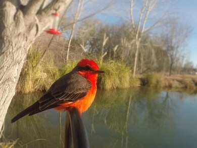 unlisted-address, Cornville, AZ 86325 - photo 5