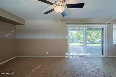 photo_16