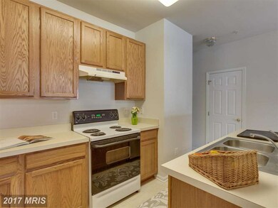 42264 Terrazzo Terrace unit 805, Stone Ridge, VA 20105 - photo 6