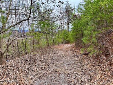 0 Oliver James Way unit 1278736, Sevierville, TN 37862 - photo 2