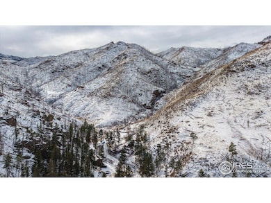 0 Falls Creek Dr unit 1048302, Bellvue, CO 80512 - photo 4