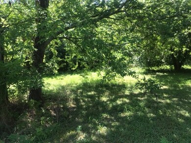 00003 Apache St, Houston, TX 77028 - photo 7