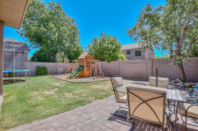 Pacheco-Backyard