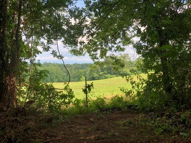Amazing Views
