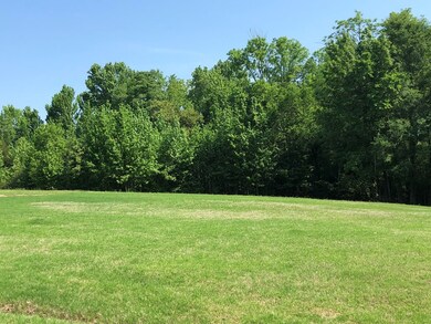 71 County Road 141, Oxford, MS 38655 - photo 2