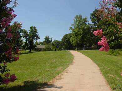 14120 State Highway 64 E, Tyler, TX 75707 - photo 2