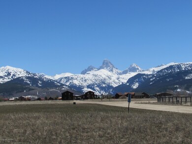 Teton View