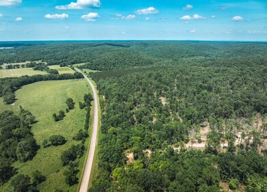 0 Highway B unit 11555617, Ellington, MO 63638 - photo 7