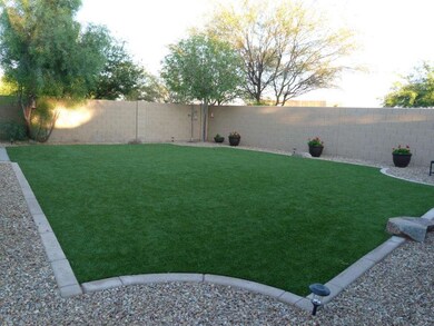 Backyard 4