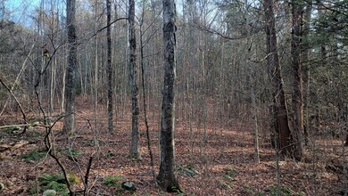 0 Campville Hill Rd, Harwinton, CT 06791 - photo 2