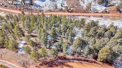 626 Little Topsey Dr, Cripple Creek, CO 80813 - photo 3