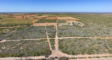 2198 County Road 653, Devine, TX 78016 - photo 3