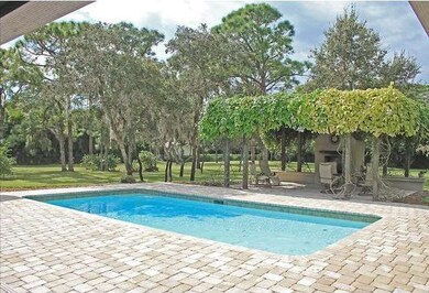 Pool with outdoor fireplace