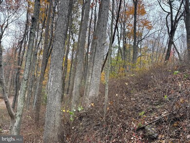TRACT 4: 13.5+/- ACR Coles Valley Rd, Robertsdale, PA 16674 - photo 5