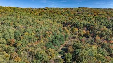 14159 Low Gap Wc 100 Rd, West Fork, AR 72774 - photo 4